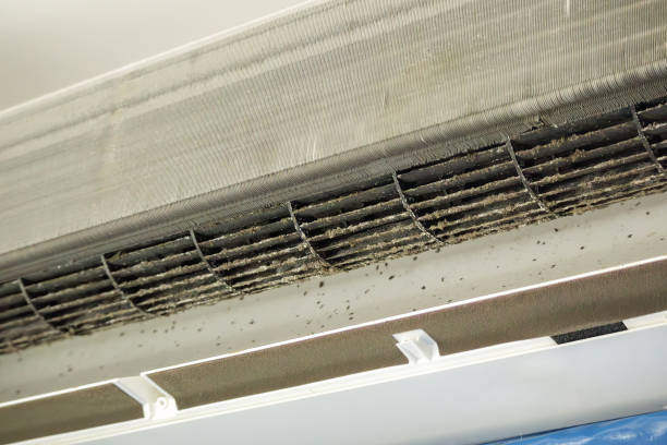 Best Air Vent Cleaning Services  in Deatsville, AL